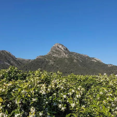 La Solana Villa