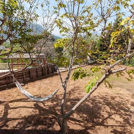 Villa La Solana *