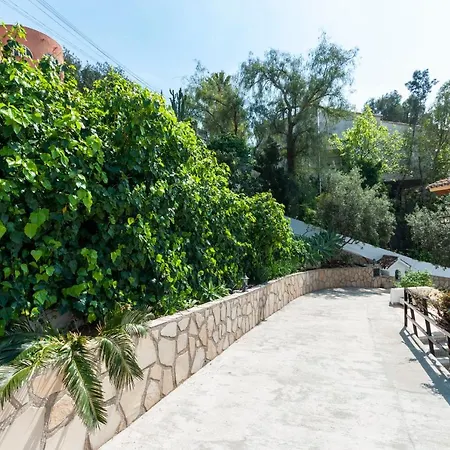 La Solana Villa